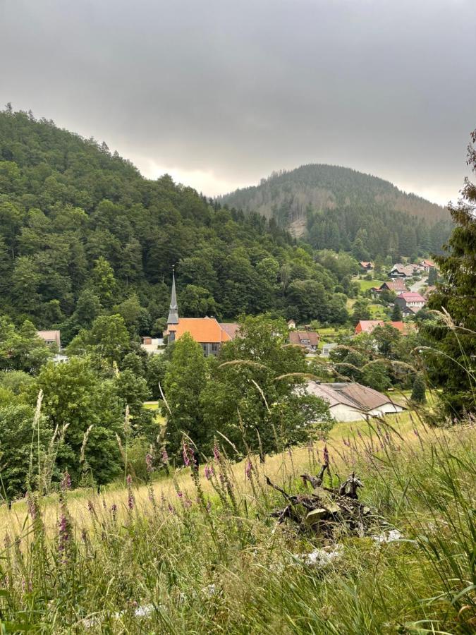 Gemuetliches Apartment Mit Kamin Und Wohnkueche Herzberg am Harz Eksteriør bilde